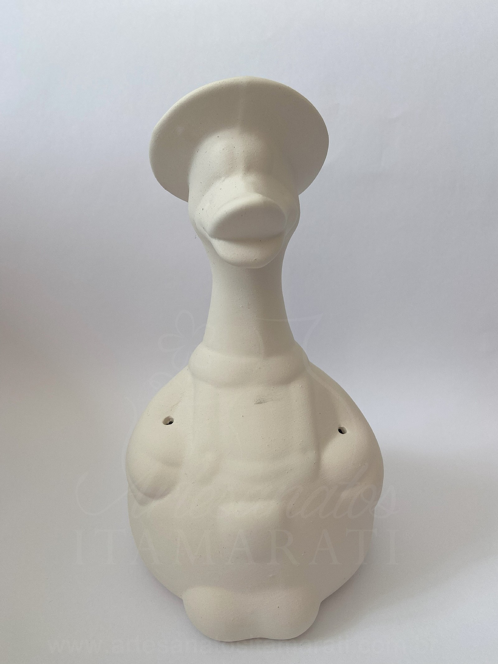 Pato com Pé G